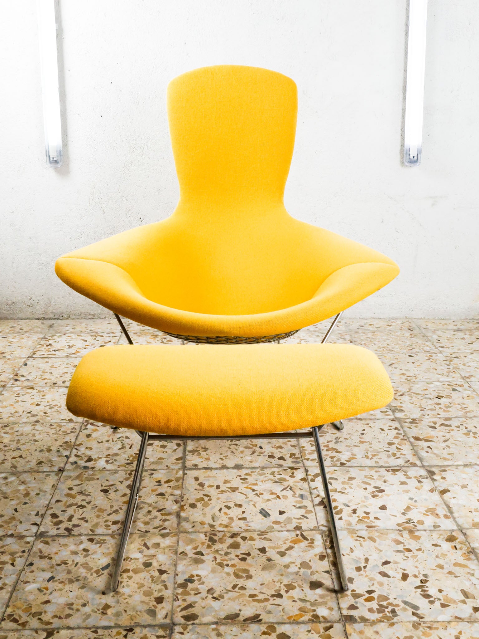 Bertoia Bird Lounge + Ottoman